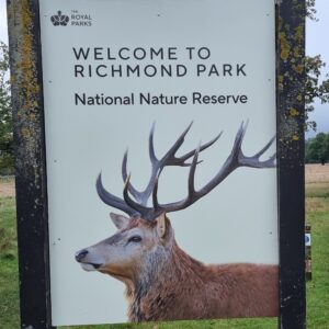 Read more about the article October 2024 – Four more London sits!