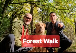 Read more about the article October 2025 – Cheltenham and Horsham